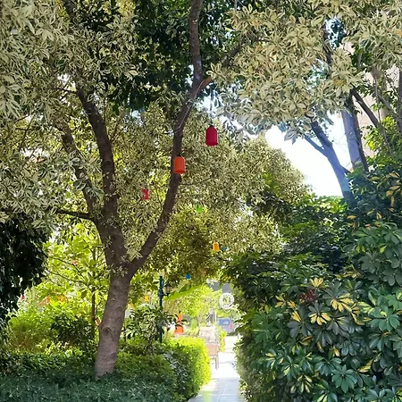 Ξενοδοχείο Navy İcmeler